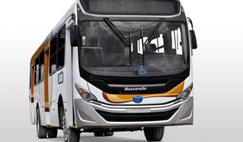 Transformação Mascarello Gran para Ônibus de Camarim full