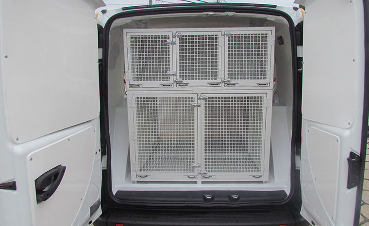 Transformação Fiat Dobló para Furgão de Transporte de Animais full